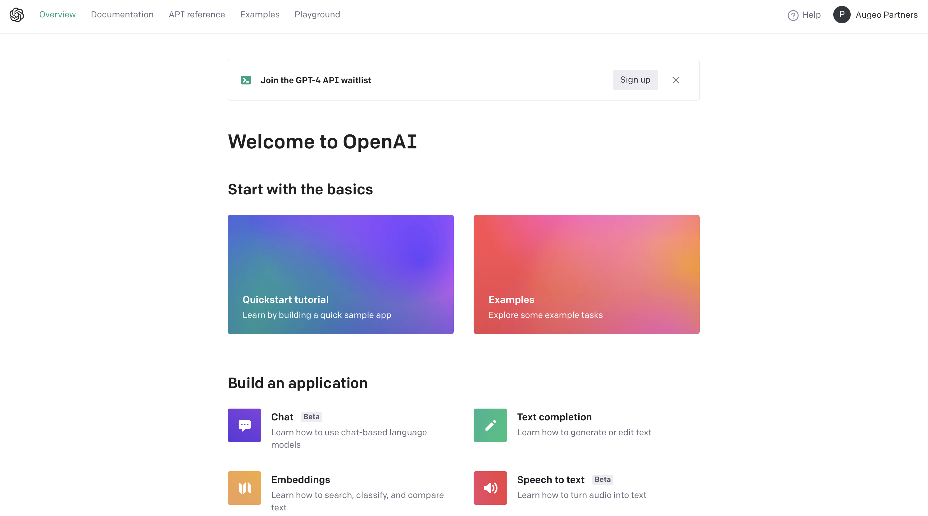 OpenAI Overview