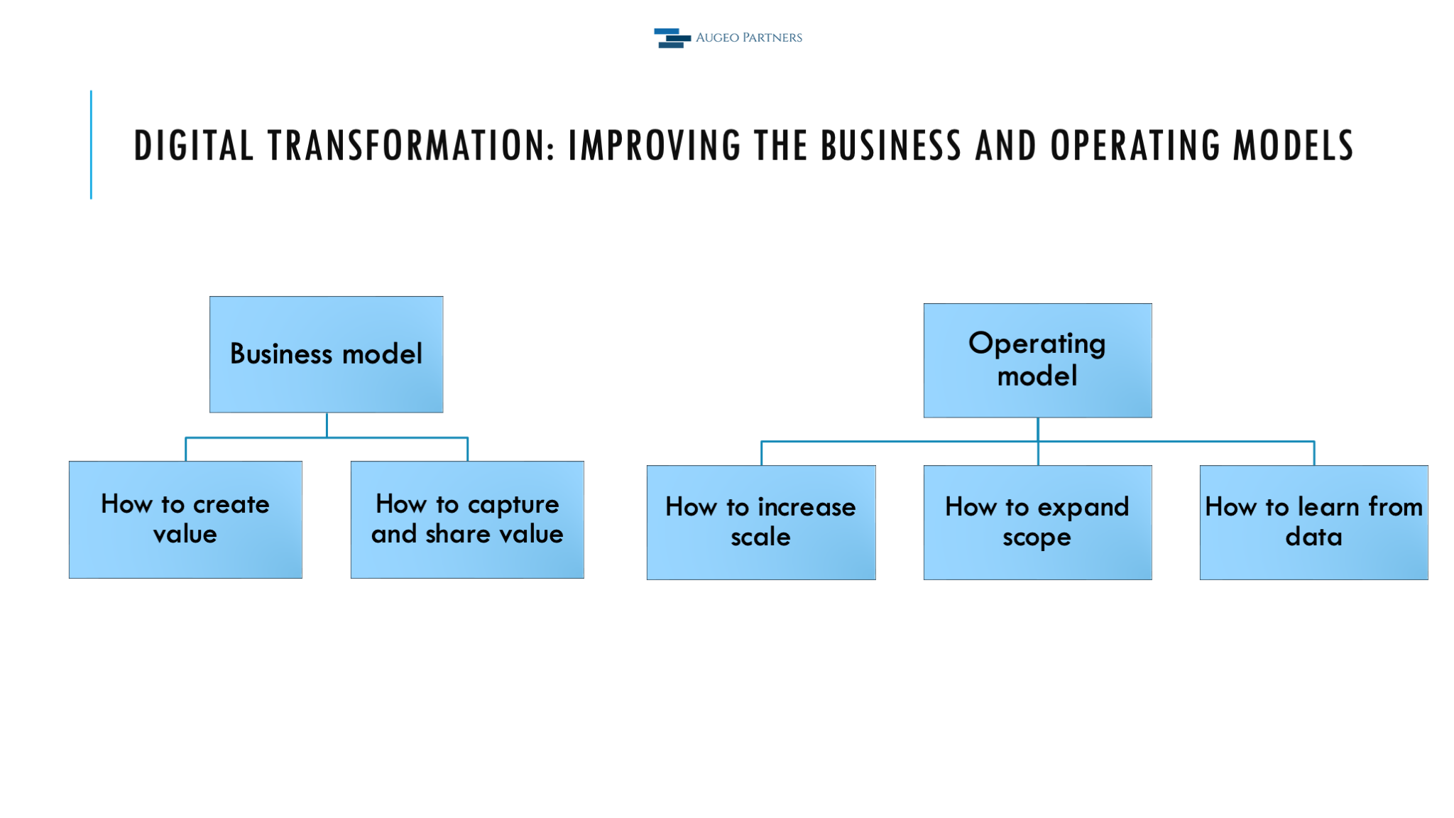 Business and Operating Model