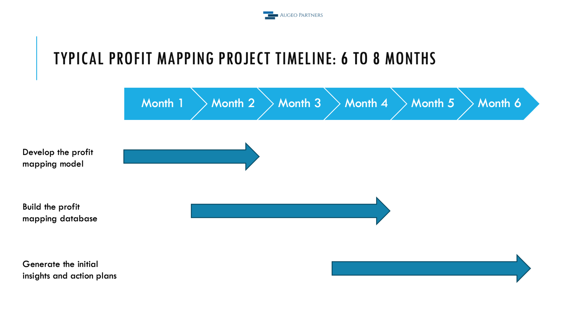 Profit Mapping Project Timeline